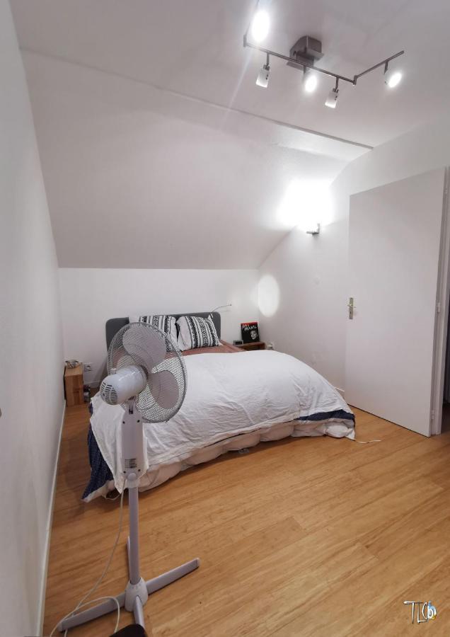 "Le Loft B Bg " Appartement Avec Terrasse G Friendly Strasbourg Eksteriør billede