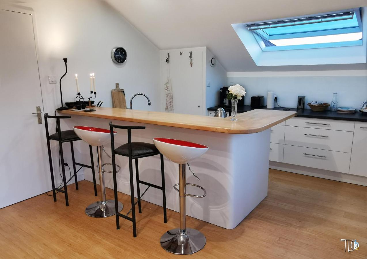 "Le Loft B Bg " Appartement Avec Terrasse G Friendly Strasbourg Eksteriør billede