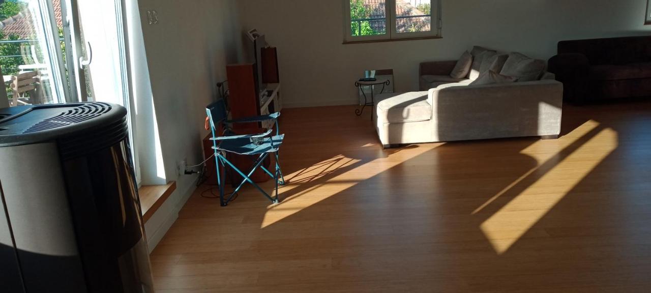 "Le Loft B Bg " Appartement Avec Terrasse G Friendly Strasbourg Eksteriør billede