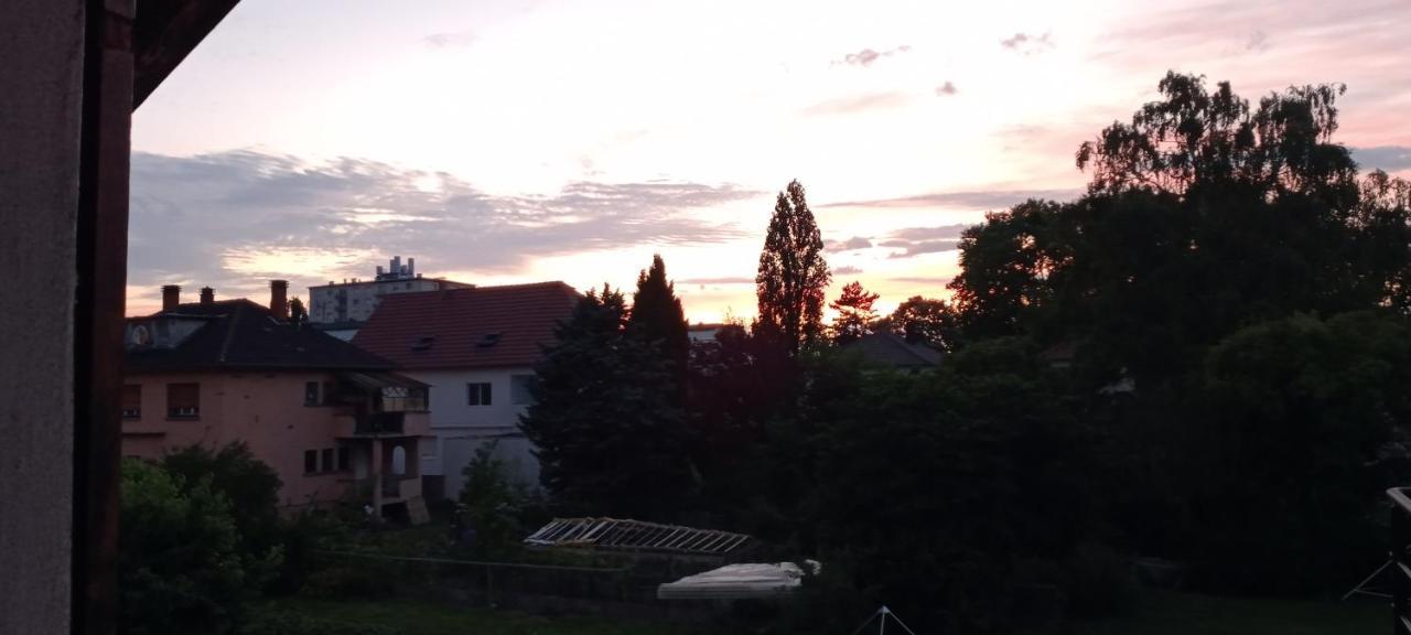 "Le Loft B Bg " Appartement Avec Terrasse G Friendly Strasbourg Eksteriør billede